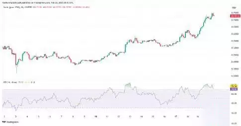 Sonic(S)币价格预测2025-2030年:S币未来能涨到多少?
