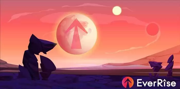 RISE是什么币种？RISE币值得投资吗？发行价是多少？
