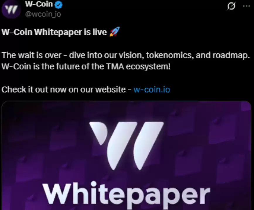 W Coin白皮书已发布:WCOIN 上市日期预计价格是多少?