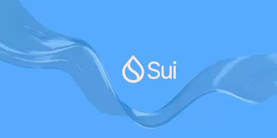 SUI币是否有价值？SUI币前景究竟如何