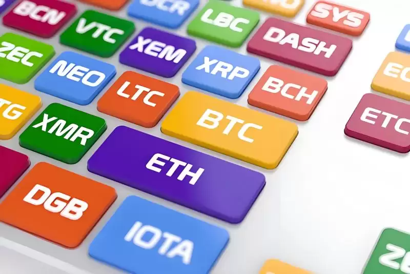 前10大山寨币发展情况