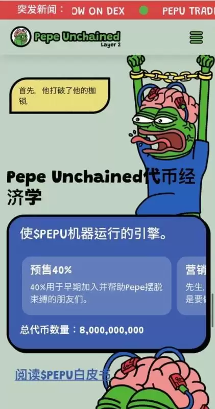 11个最值得期待的加密货币预售项目盘点(2025年3月)