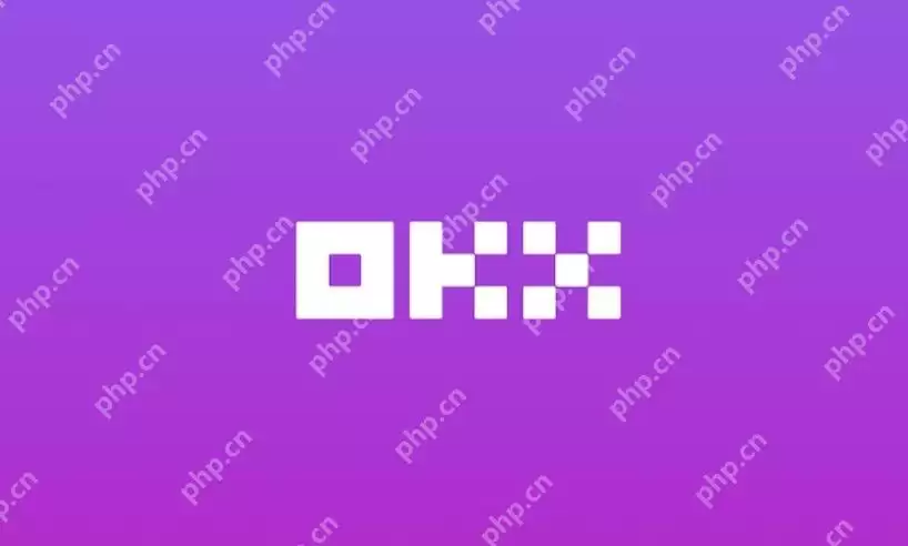 欧易OKX保姆级下载教程：安卓/iOS/电脑端App详细下载流程 - 菜鸟下载