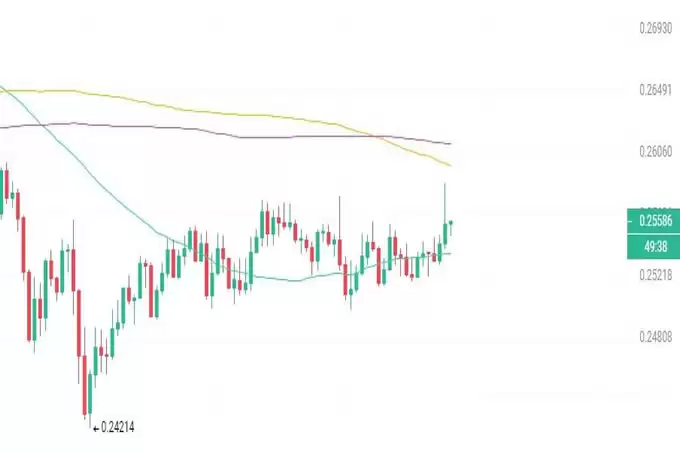 山寨集体反弹,IP、KAITO深夜爆拉!3种有望100倍涨幅的潜力币一览