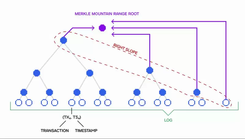 什么是Pod Network?Pod Network项目介绍、团队、融资