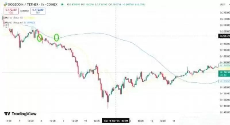 什么是DMA指标?如何在交易中应用DMA?