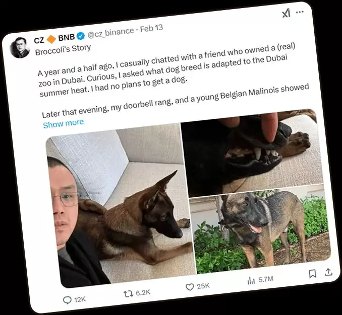 Broccoli(080)代币:CZ宠物狗启发的BSC生态新meme币