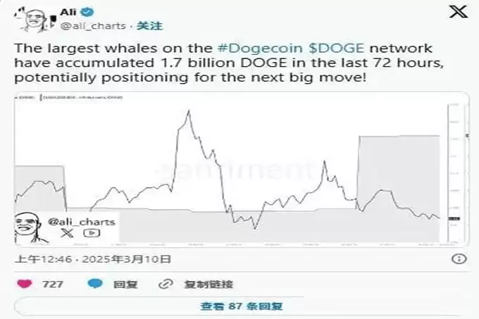 特朗普加密储备助力狗狗币（DOGE）崛起,2025年能否创下新高？