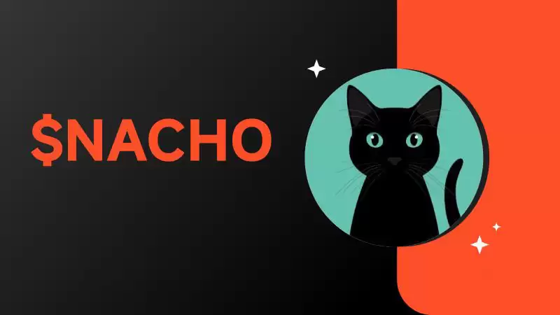 NACHO币是什么？NACHO币未来潜力如何？