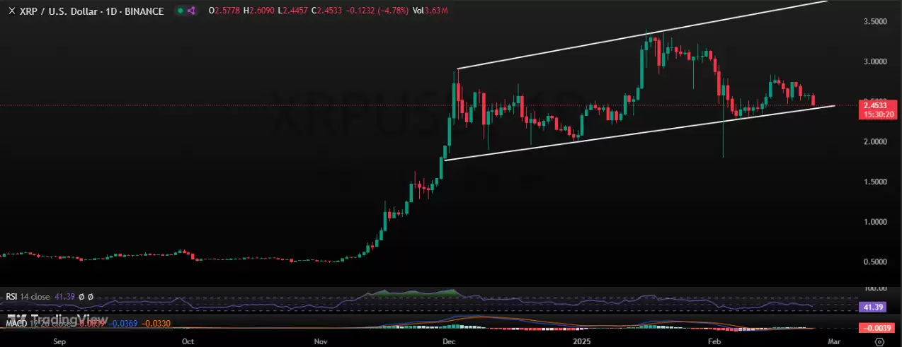 瑞波币价格分析:牛市还是熊市?谁将推动XRP的下一步走势?