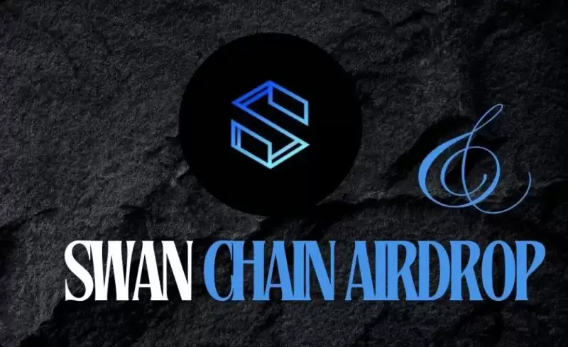 Swan Chain(SWAN)币是什么?前景如何?值得关注吗?