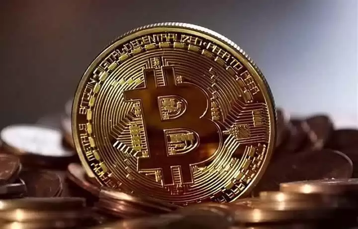 什么是比特币主导指数(BTC.D)？如何透过BTC.D调整投资组合？