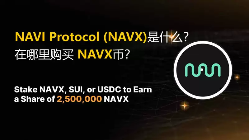 NAVI Protocol (NAVX)币是什么？在哪里购买 NAVX币？