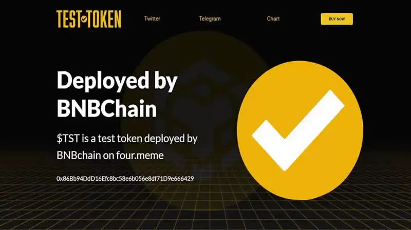 Test(TST)币是什么?和币安有关吗?TST币未来如何?