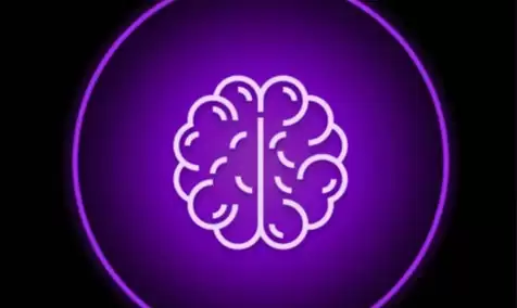 PAAL币发行价格和发行总量是多少？