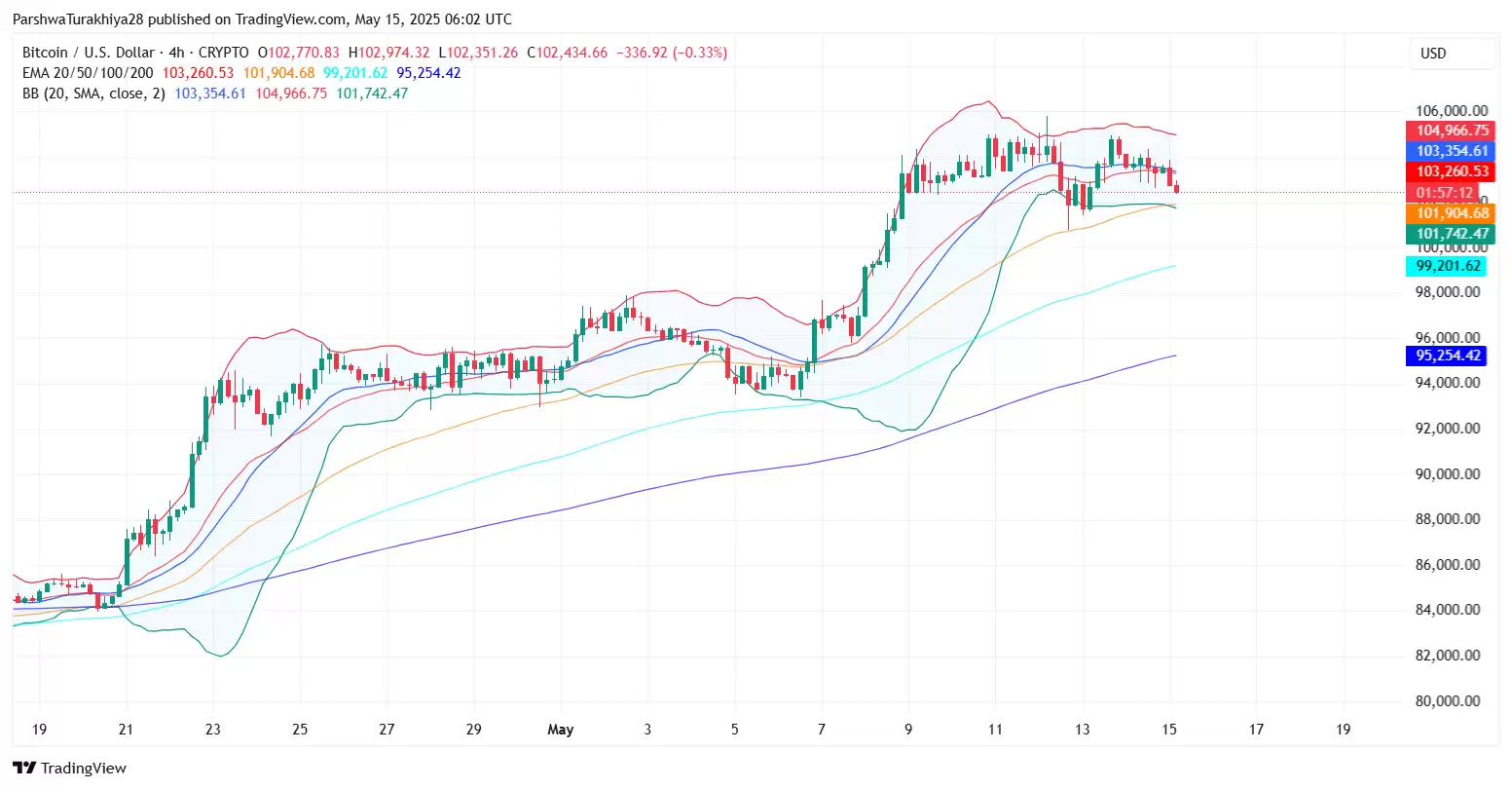 谁是2025年百倍币？BTC将暴涨至30万美元？BTC价格预测