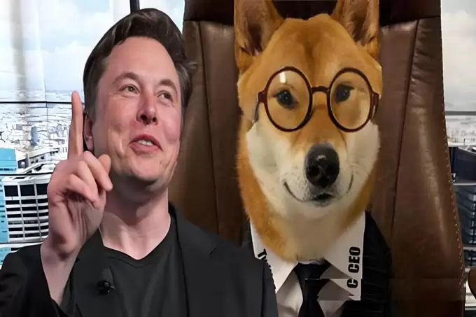 马斯克布局‘狗狗币DOGE陷阱’,富豪如何借‘电子宠物’割韭菜