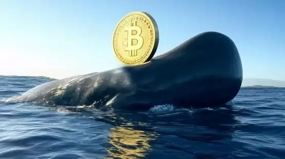 Matrixport：Solana巨鲸转入比特币！Meme币光环不再 DeFi回春失望