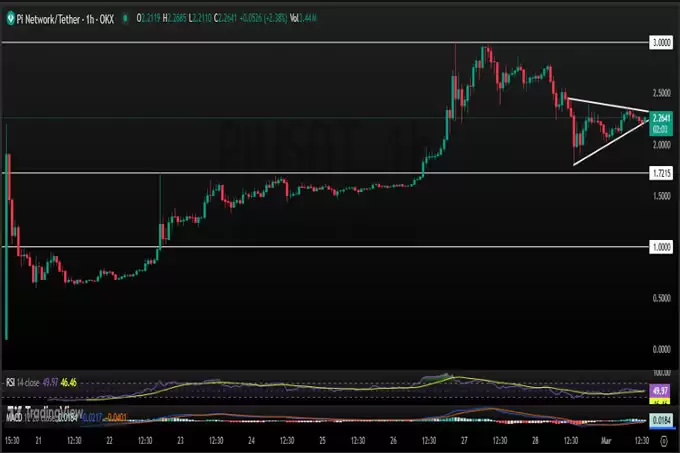 Pi 币价格预测:推动炒作和价格飙升的因素