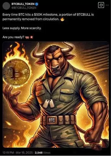 什么是BTC Bull代币？是什么让BTC Bull脱颖而出？