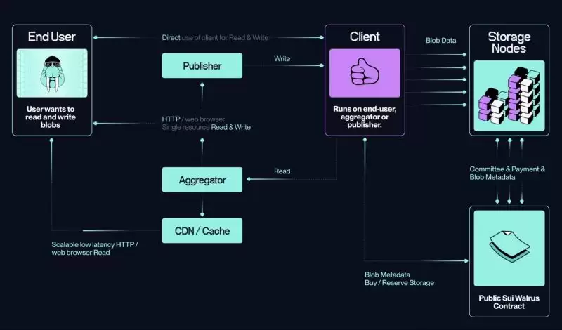 Walrus(WAL)币是什么？WAL币潜力如何？WAL币未来展望