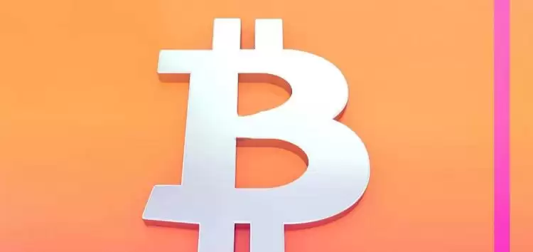 加密沙皇David推荐什么币？喜欢什么币？