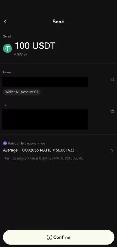 仔细检查并确认转帐详细资料