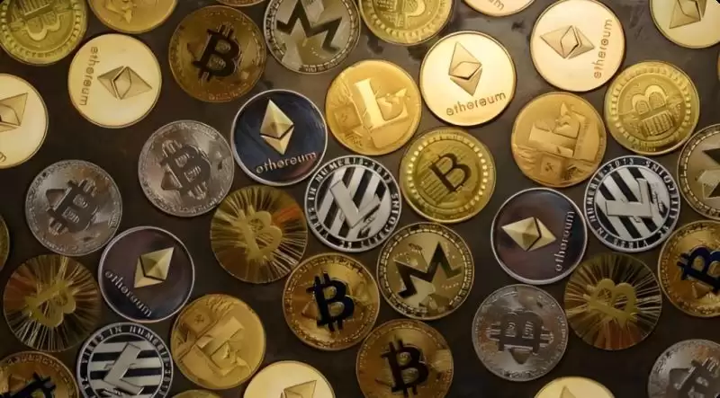 2025年初山寨币跌麻了 后市还有机会吗？