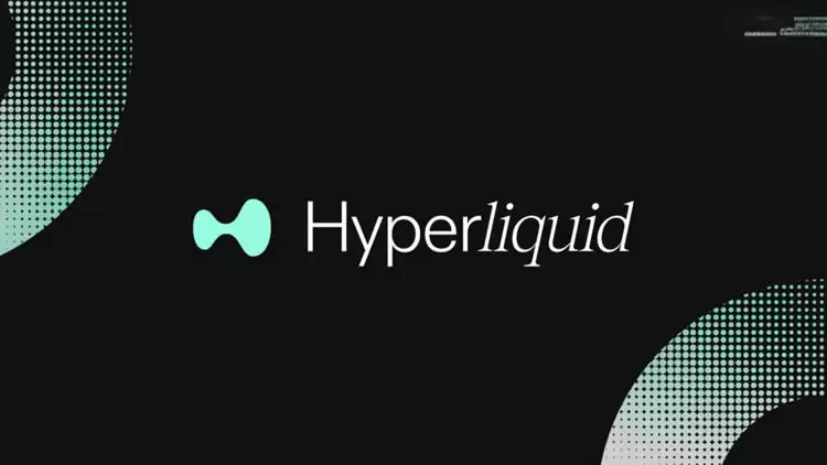Hyperliquid(HYPE)币长期价值基本面分析