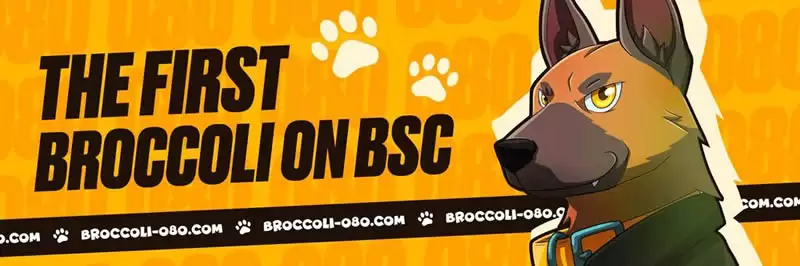 Broccoli(080)代币:CZ宠物狗启发的BSC生态新meme币
