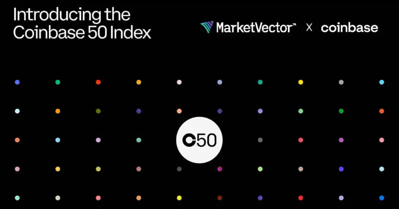 COIN50是什么?COIN50包括哪些加密货币?解析指数组成、历史绩效