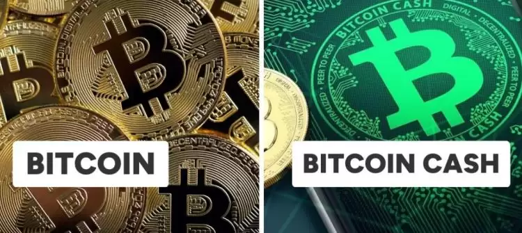 比特现金和比特币关系是什么？比特现金和比特币关系和区别详解