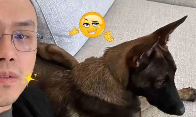 BROCCOLI币购买教程