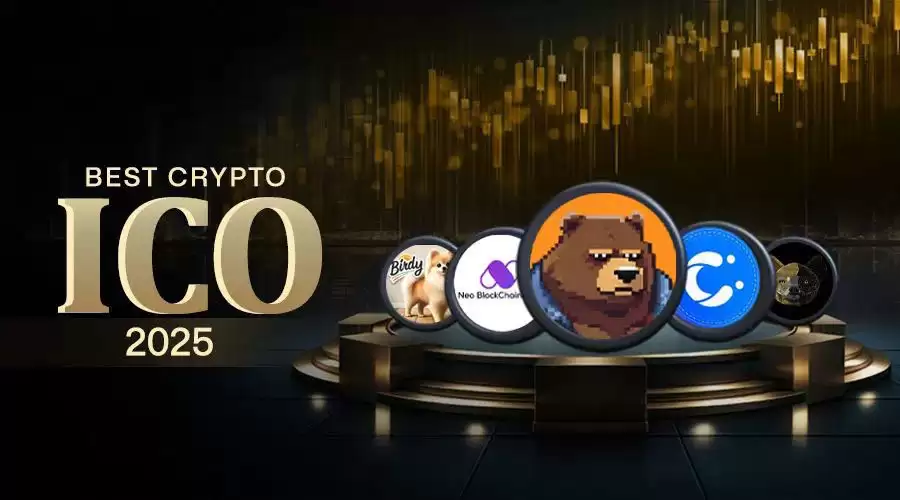 2025即将发售的最佳代币:NBCB、CHMY、HYK、BEAR和BIRDY