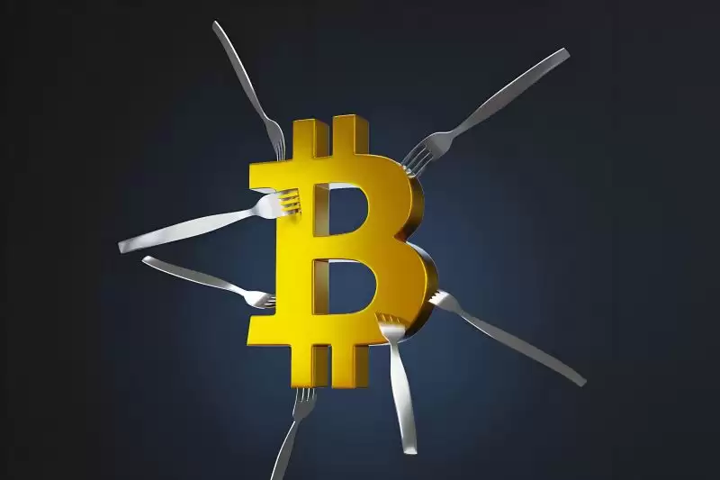 加密货币是怎么赚钱的?币圈15种常见的赚钱方式