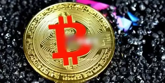 Google发布量子芯片Willow!Ava Labs:建议冻结中本聪的比特币