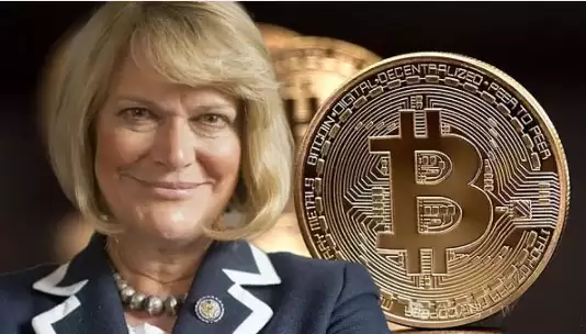 美国推动15个州目前已发起比特币战略储备相关计划