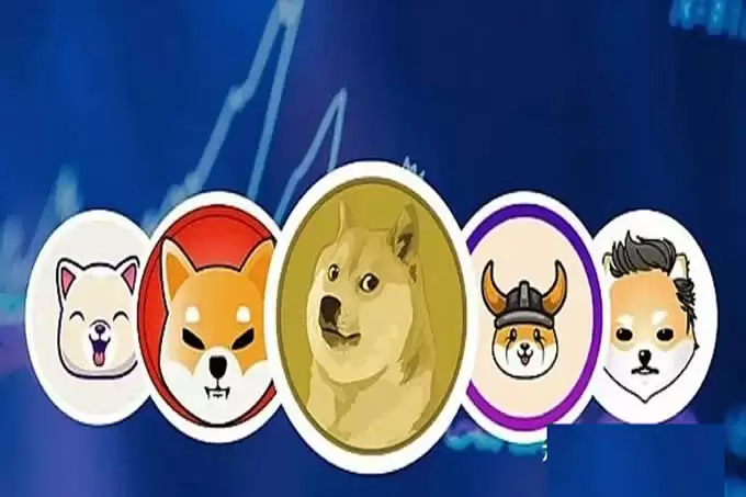 新手入坑指南:竞争币、山寨币、模因币、土狗币,金狗币、空气币是什么?