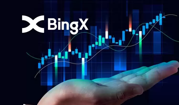 什么是跟单交易？BingX跟单交易操作步骤教程与风险控制