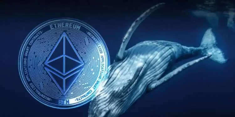 以太坊赚的钱从哪里来的?以太坊币的赚钱方式