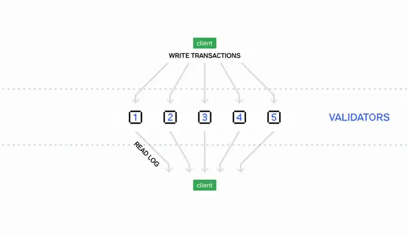 什么是Pod Network?Pod Network项目介绍、团队、融资