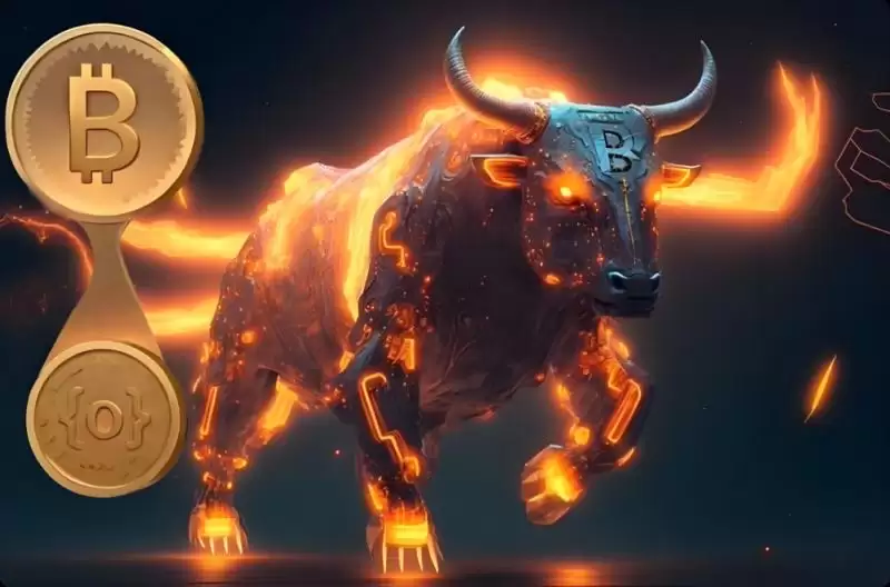 山寨季什么时候来?大选后12个月仍是加密牛市黄金期