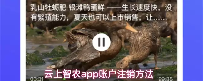 云端智农app账户注销方法