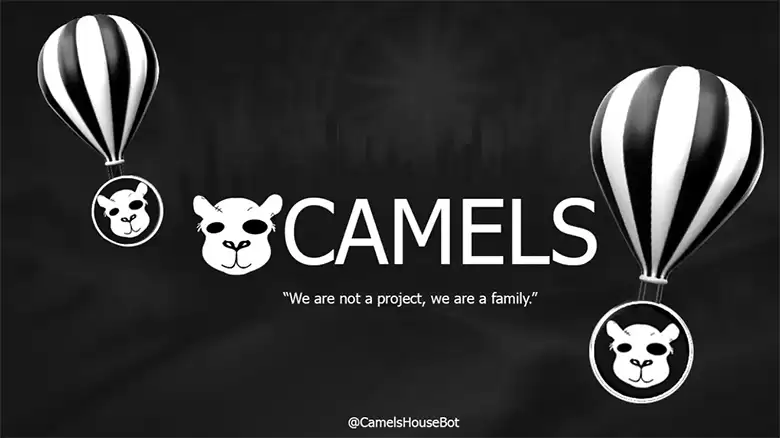 骆驼空投指南:如何领取您的$CAMELS代币
