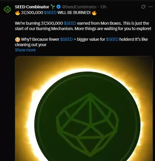 种子空投价格预测:上市价格是多少？