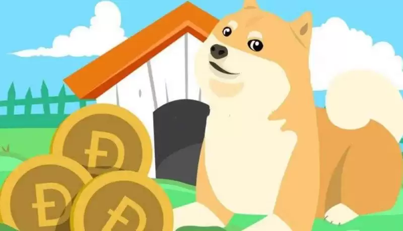 买的狗狗币平台不在了怎么办？购买狗狗币有哪些平台？