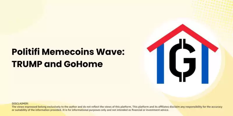 川普币与GoHome币对市场影响及未来展望