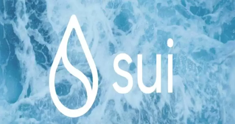SUI币怎么样?SUI币在未来会超越比特币吗?