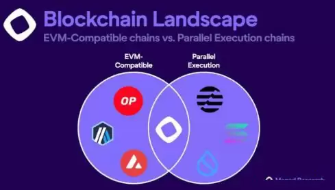 Monad生态系统应用