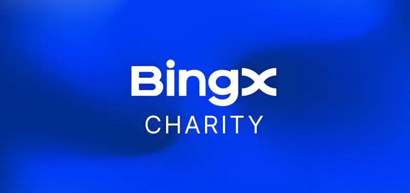 bingx homepage